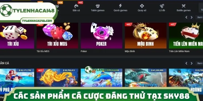 Các sản phẩm cá cược đáng thử tại Sky88 