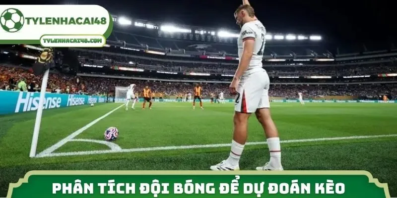 Phân tích đội bóng để dự đoán kèo